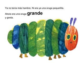 Ya no tenía más hambre. Ni era ya una oruga pequeñita.
Ahora era una oruga grande
y gorda.
 