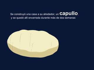 Se construyó una casa a su alrededor, un capullo,
y se quedó allí encerrada durante más de dos semanas
 