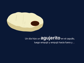 Un día hizo un agujeritoen el capullo,
luego empujó y empujó hacia fuera y…
 