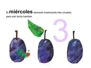 El miércolesatravesó masticando tres ciruelas,
pero aún tenía hambre.
3
 