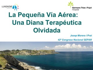 La Pequeña Vía Aérea:
 Una Diana Terapéutica
       Olvidada
                       Josep Morera i Prat
              42º Congreso Nacional SEPAR
 