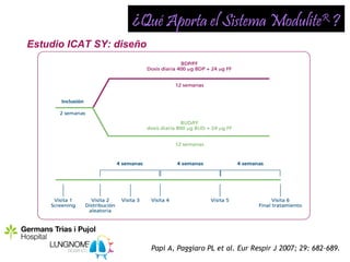 ¿Qué Aporta el Sistema ModuliteR ?
Estudio ICAT SY: diseño




                          Papi A, Paggiaro PL et al. Eur Respir J 2007; 29: 682–689.
 