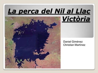 La perca del Nil al Llac
Victòria
Daniel Giménez
Christian Martínez
 