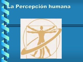 La Percepción humana
 
