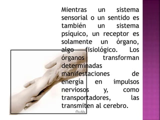 Mientras un sistema
sensorial o un sentido es
también un sistema
psíquico, un receptor es
solamente un órgano,
algo fisiológico. Los
órganos transforman
determinadas
manifestaciones de
energía en impulsos
nerviosos y, como
transportadores, las
transmiten al cerebro.
 