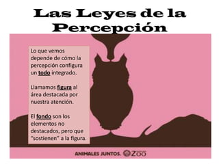 Las Leyes de la PercepciónLo que vemos depende de cómo la percepción configura un todo integrado. Llamamos figura al área destacada por nuestra atención. El fondo son los elementos no destacados, pero que “sostienen” a la figura. 