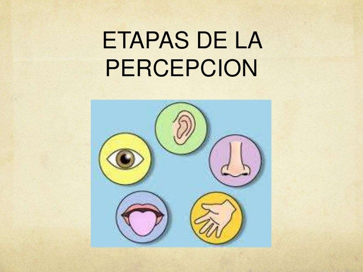 La percepcion