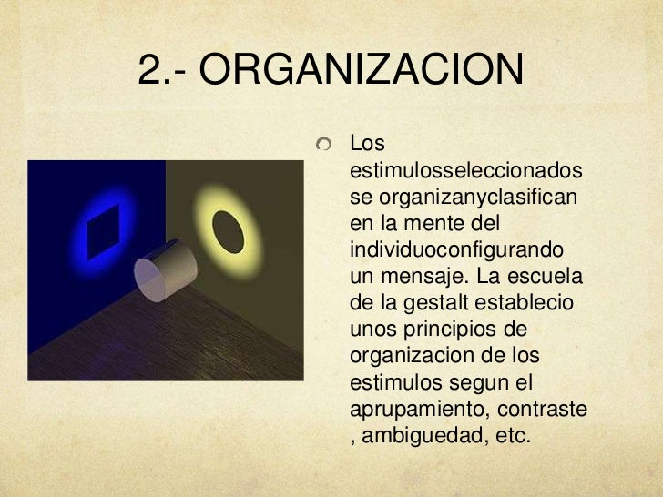 La percepcion
