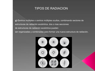 TIPOS DE RADIACION
g) Centros múltiples o centros múltiples ocultos, combinando sectores de
estructuras de radiación excéntrica. dos o mas secciones
de estructuras de radiación excéntrica pueden
ser organizadas y combinadas para formar una nueva estructura de radiación.
 