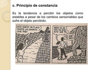 c. Principio de constancia
Es la tendencia a percibir los objetos como
estables a pesar de los cambios sensoriables que
sufre el objeto percibido.
 