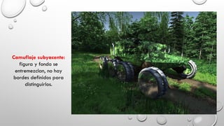 Camuflaje subyacente:
figura y fondo se
entremezclan, no hay
bordes definidos para
distinguirlos.
 