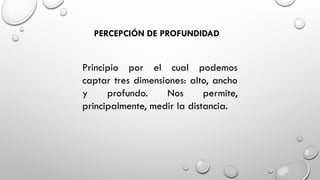 PERCEPCIÓN DE PROFUNDIDAD
Principio por el cual podemos
captar tres dimensiones: alto, ancho
y profundo. Nos permite,
principalmente, medir la distancia.
 