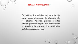 Se utilizan las señales de un solo ojo
para poder determinar la distancia de
los objetos. Además, gracias a estas
señales podemos captar tres dimensiones
en donde solo hay dos. Las principales
señales monoculares son:
SEÑALES MONOCULARES
 