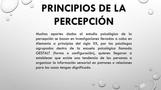 PRINCIPIOS DE LA
PERCEPCIÓN
Muchos aportes dados al estudio psicológico de la
percepción se basan en investigaciones llevadas a cabo en
Alemania a principios del siglo XX, por los psicólogos
agrupados dentro de la escuela psicológica llamada
GESTALT (forma o configuración), quienes llegaron a
establecer que existe una tendencia de las personas a
organizar la información sensorial en patrones o relaciones
para las cosas tengan dignificado.
 