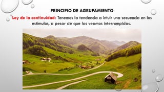 PRINCIPIO DE AGRUPAMIENTO
Ley de la continuidad: Tenemos la tendencia a intuir una secuencia en los
estímulos, a pesar de que las veamos interrumpidas.
 