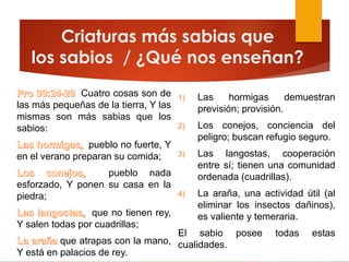 Criaturas más sabias que
los sabios / ¿Qué nos enseñan?
Cuatro cosas son de
las más pequeñas de la tierra, Y las
mismas son más sabias que los
sabios:
pueblo no fuerte, Y
en el verano preparan su comida;
pueblo nada
esforzado, Y ponen su casa en la
piedra;
que no tienen rey,
Y salen todas por cuadrillas;
que atrapas con la mano,
Y está en palacios de rey.
1) Las hormigas demuestran
previsión; provisión.
2) Los conejos, conciencia del
peligro; buscan refugio seguro.
3) Las langostas, cooperación
entre sí; tienen una comunidad
ordenada (cuadrillas).
4) La araña, una actividad útil (al
eliminar los insectos dañinos),
es valiente y temeraria.
El sabio posee todas estas
cualidades.
 