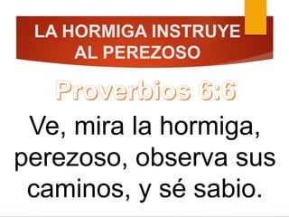 LA HORMIGA INSTRUYE
AL PEREZOSO
Ve, mira la hormiga,
perezoso, observa sus
caminos, y sé sabio.
 