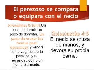 El perezoso se compara
o equipara con el necio
Un
poco de dormir, un
poco de dormitar,
y vendrá
como vagabundo tu
pobreza, y tu
necesidad como un
hombre armado.
El necio se cruza
de manos, y
devora su propia
carne.
 