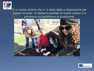 La permacoltura che cose `e