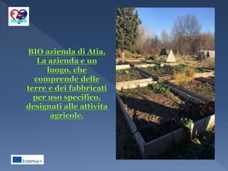 La permacoltura che cose `e