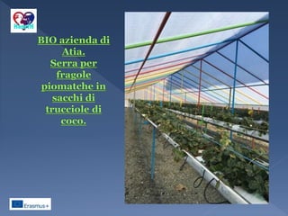 La permacoltura che cose `e