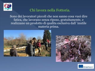 Sono dei lavoratori piccoli che non sanno cosa vuoi dire
fatica, che lavorano senza riposo, gratuitamente, e
realizzano un prodotto di qualita esclusiva dall`inutile
materia prima.
 