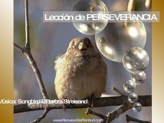 Lección de PERSEVERANCIA  Música: Songbird – Barbra Streisand  www.RenuevoDePlenitud.com 