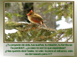 ¿Tu proyecto de vida, tus sueños, tu relación, tu familia se ha perdido?...¿a caso no son lo que esperabas?  ¿Has querido decir basta, no vale  la pena el esfuerzo, esto es demasiado para mí?  