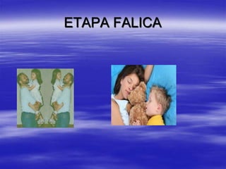 ETAPA FALICA
 
