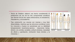 La personalidad (17).pptx