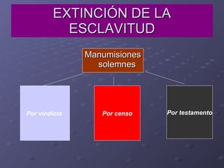 EXTINCIÓN DE LA ESCLAVITUD Manumisiones solemnes Por vindicta   Por censo Por testamento 