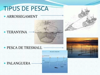 TIPUS DE PESCAARROSSEGAMENTTERANYINAPESCA DE TRESMALLPALANGUERA