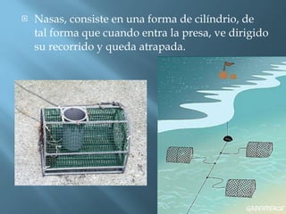 Nasas, consiste en una forma de cilíndrio, de tal forma que cuando entra la presa, ve dirigido su recorrido y queda atrapada. 