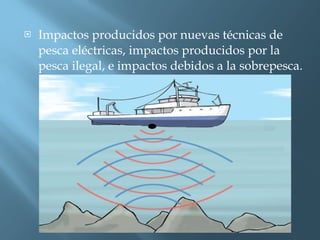 Impactos producidos por nuevas técnicas de pesca eléctricas, impactos producidos por la pesca ilegal, e impactos debidos a la sobrepesca.  