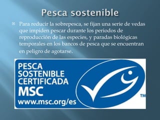 Para reducir la sobrepesca, se fijan una serie de vedas que impiden pescar durante los periodos de reproducción de las especies, y paradas biológicas temporales en los bancos de pesca que se encuentran en peligro de agotarse . 