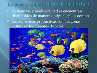 La biomasa y biodiversidad se encuentran distribuidos de manera desigual en los océanos  Las zonas mas productivas son: las zonas costeras y los arrecifes de coral. 