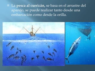 La  pesca al curricán,  se basa en el arrastre del aparejo, se puede realizar tanto desde una embarcación como desde la orilla. 