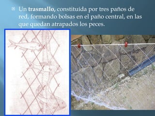 Un  trasmallo,  constituída por tres paños de red, formando bolsas en el paño central, en las que quedan atrapados los peces.  