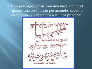 Con palangre,  consiste en una línea, donde el aparejo está compuesto por anzuelos cebados en la punta, y van unidos a la línea principal. 