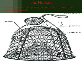 Les Nanses
 Una nansa és un antic parany de pesca . Encara s'utilitza en
  la pesca artesanal
 