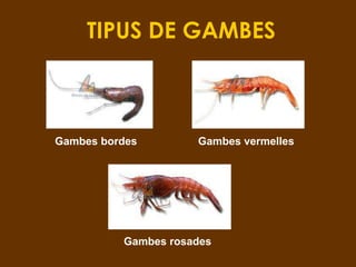 TIPUS DE GAMBES



Gambes bordes        Gambes vermelles




          Gambes rosades
 