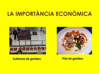 LA IMPORTÀNCIA ECONÒMICA




 Subhasta de gambes   Plat de gambes
 