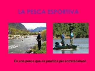 LA PESCA ESPORTIVA




És una pesca que es practica per entreteniment.
 