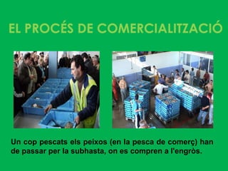 EL PROCÉS DE COMERCIALITZACIÓ




Un cop pescats els peixos (en la pesca de comerç) han
de passar per la subhasta, on es compren a l'engròs.
 