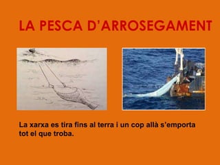 LA PESCA D’ARROSEGAMENT




La xarxa es tira fins al terra i un cop allà s’emporta
tot el que troba.
 