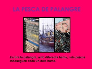 LA PESCA DE PALANGRE




Es tira la palangre, amb diferents hams, i els peixos
mosseguen cada un dels hams.
 