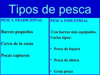 Tipos de pesca
PESCA TRADICIONAL

PESCA INDUSTRIAL

Barcos pequeños

Con barcos más equipados.
Varios tipos:

Cerca de la costa
• Pesca de bajura

Pocas capturas

• Pesca de altura
• Gran pesca

 