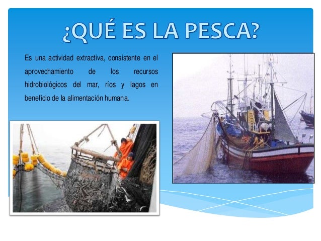 Tabla De Mareas 2021 De San Diego California Para La Pesca