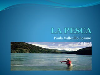 Paula Vallecillo Lozano
4º B EPO
 