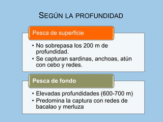 SEGÚN LA PROFUNDIDAD
• No sobrepasa los 200 m de
profundidad.
• Se capturan sardinas, anchoas, atún
con cebo y redes.
Pesca de superficie
• Elevadas profundidades (600-700 m)
• Predomina la captura con redes de
bacalao y merluza
Pesca de fondo
 